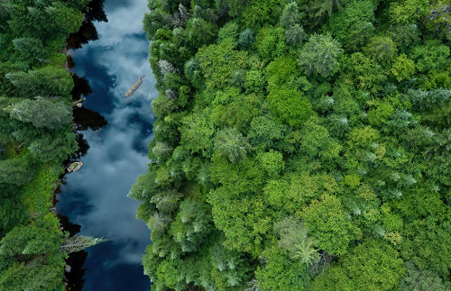 2025 年屬蛇本命年不宜做的事情 2025年屬蛇本命年運勢