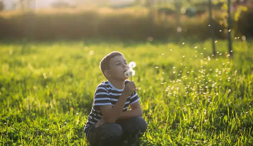 属马2025年2月份运势全解 2025年属马人的全年每月运势