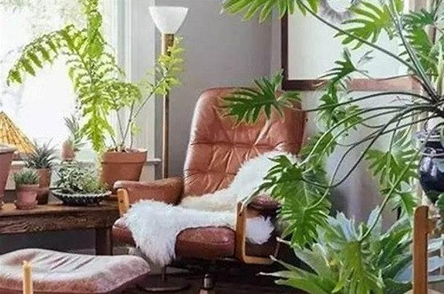 贾姓好听顺口的男生名字锦集400个 姓贾的霸气名字