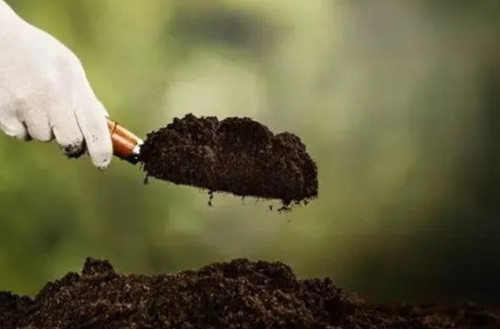 2025年出生的闻姓男生好不好取名 闻姓现状